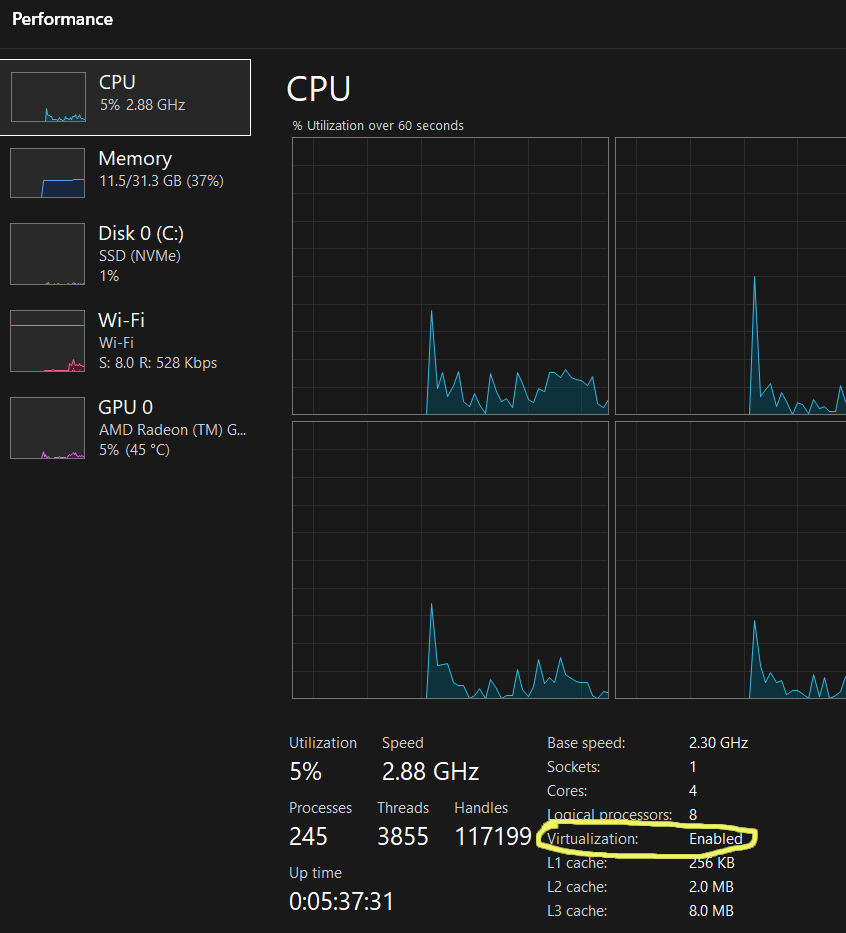 Check Virtualization